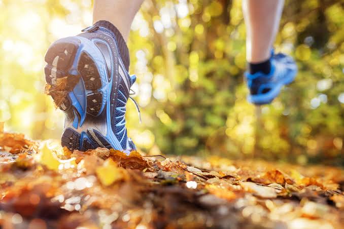 Featured image: Autumn Newsletter