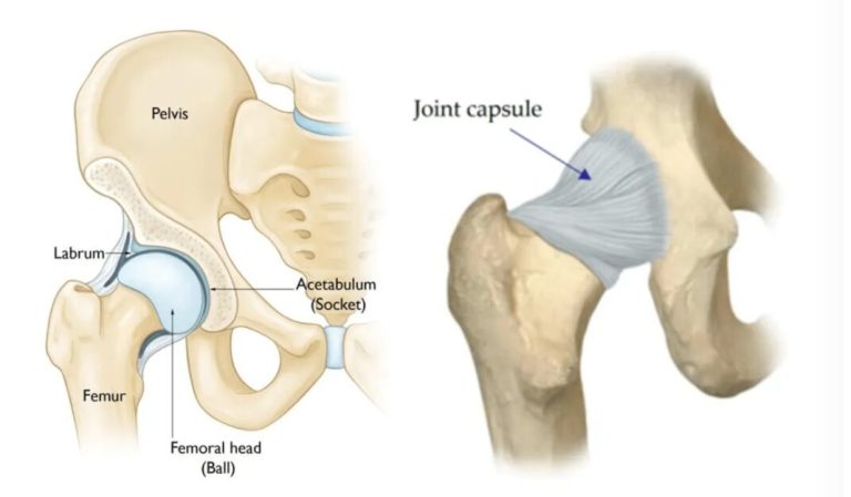 Hip Labral Tear – What is it?